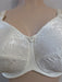 Aviana Floral, full support plus size bra. Color Ivory. Style 2453. Gore view.