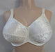 Aviana Floral, full support plus size bra. Color Ivory. Style 2453. Front view.