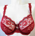 Chantelle Eternelle, a demi bra in a wonderful lace bra. Style 3621. Color Red.