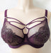 Elomi Eugenie, a plunge bra with loads of style. Great support. Color Gilded Berry. Style EL4770.