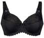 This Anita Rosa Faia bra, Grazia, they call it the Big Cup Bra. An ideal everyday bra at an affordable price. Color black. Style 5639.