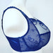 Empreinte Thalia, a premium plus size bra that is all support and no blandness. Style 0756. Color Shiny Blue.